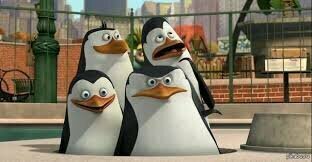 Прочитал - прокомментируй