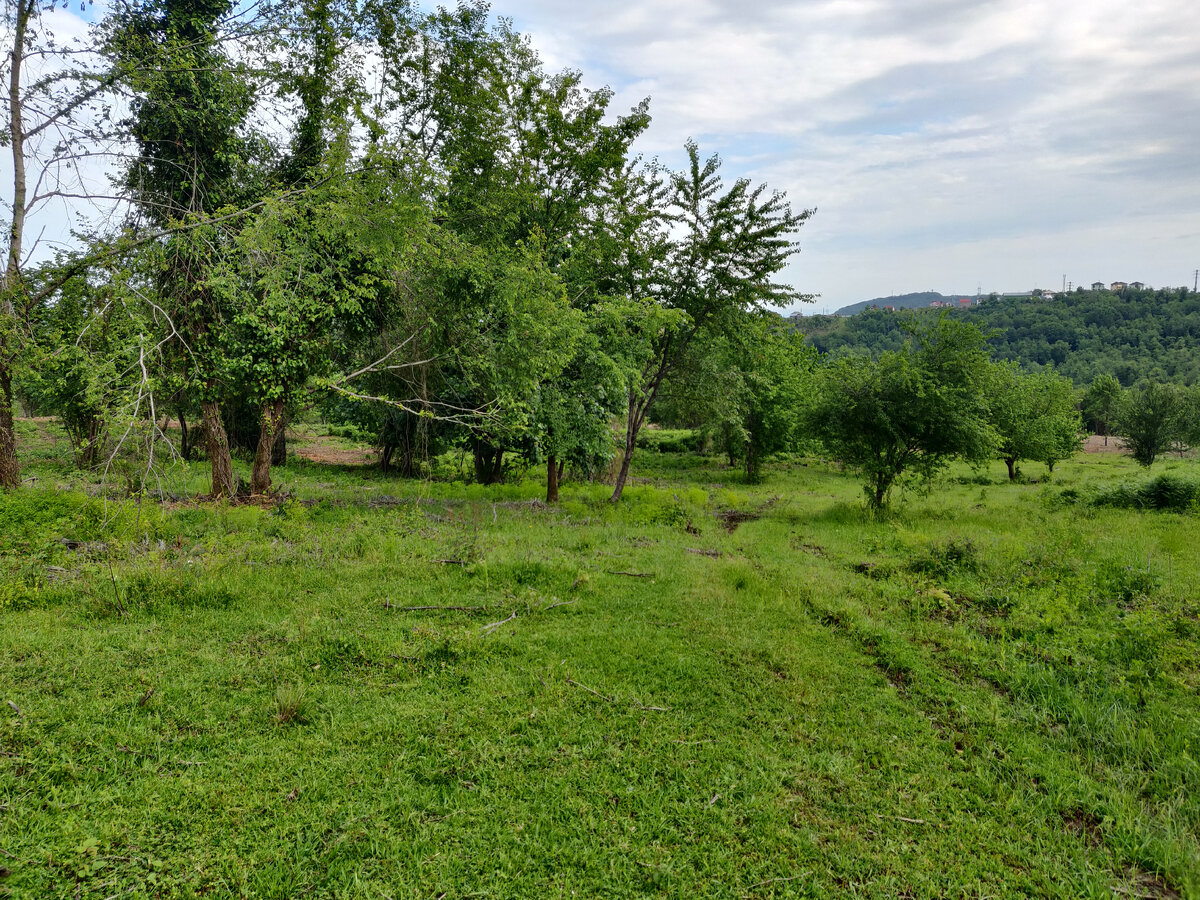 Участок СНТ Сочи