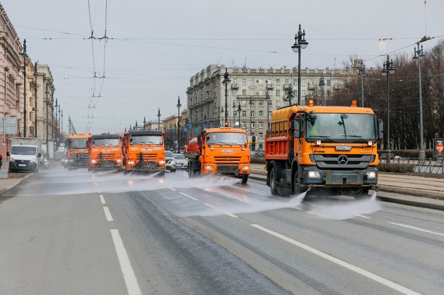 Источник: gov.spb.ru