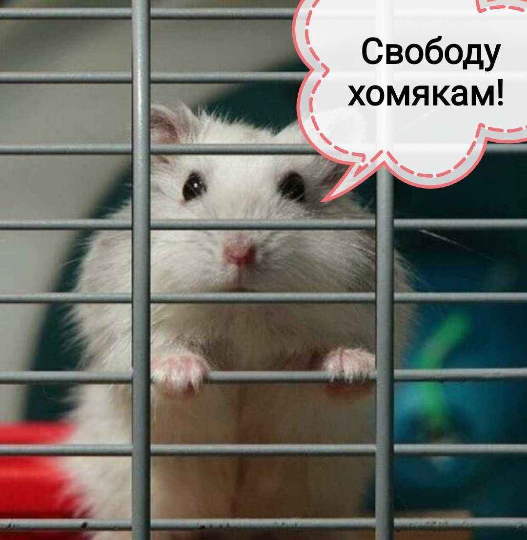 Нерезиденты на нашем рынке 