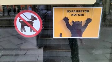Стать арендатором помещений без торгов хотят многие предприниматели