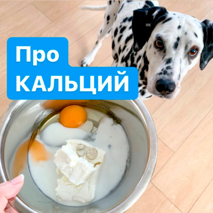Зара и миска