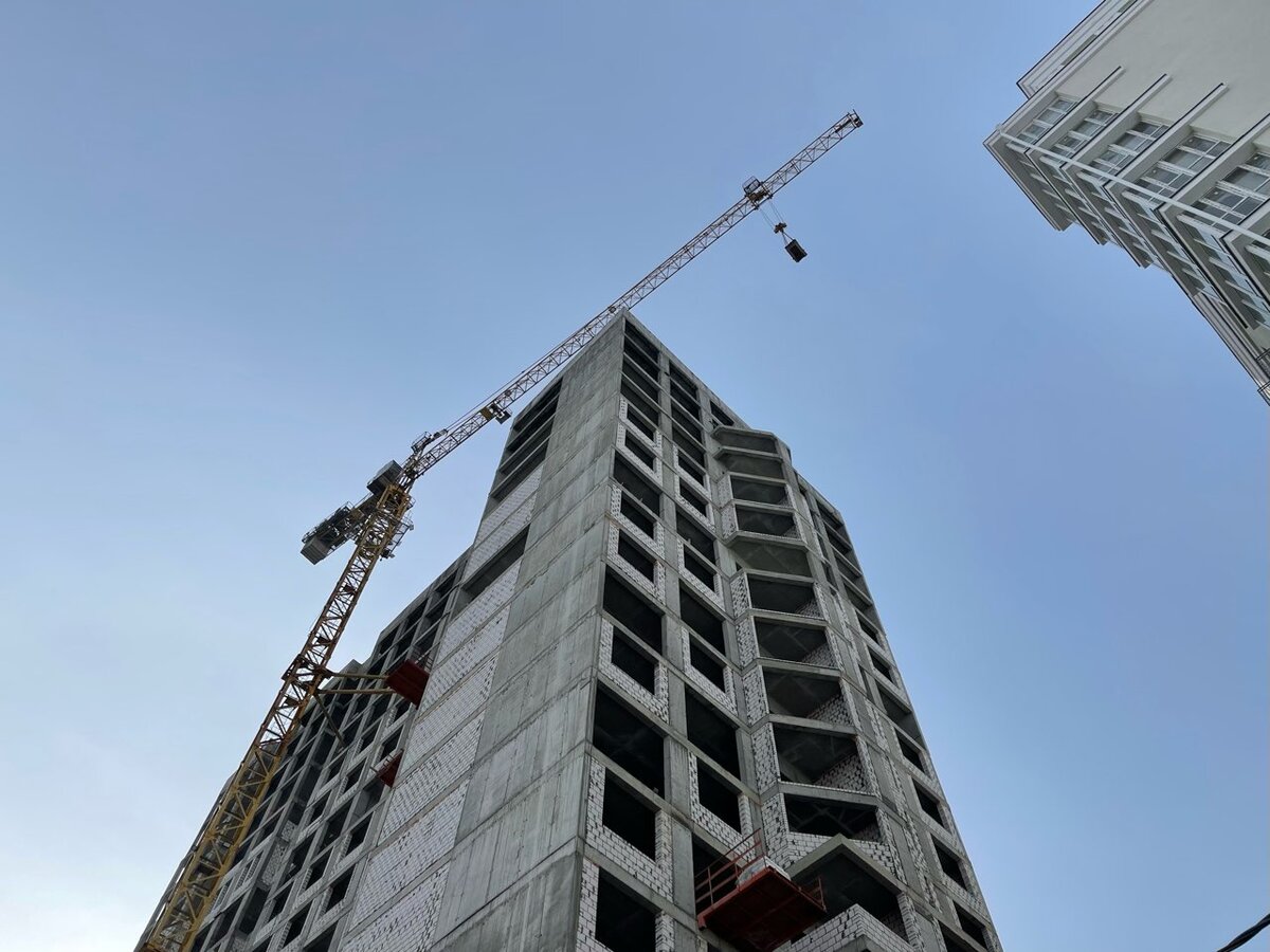  Фото: Наталия Атьянова / ДОМОСТРОЙРФ