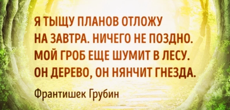 Скриншот фото из открытых источников