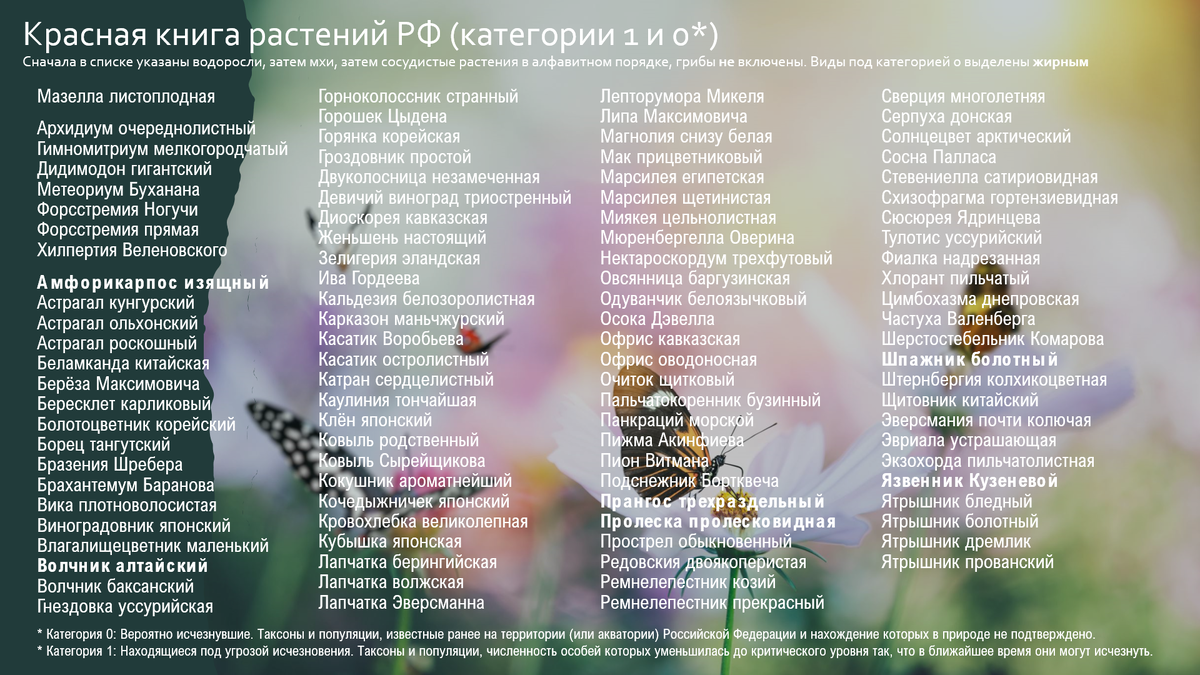 Сначала в списке идут водоросли (мазелла листоплодная), потом мхи, потом сосудистые растения. Жирным выделены виды из категории 0. Грибы сюда не включены. В конце статьи есть ссылка на это изображение в более высоком качестве.
