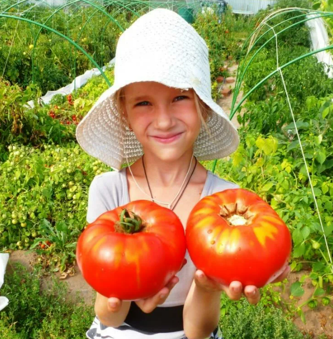 Фотография взята из источника hameleone.ru
