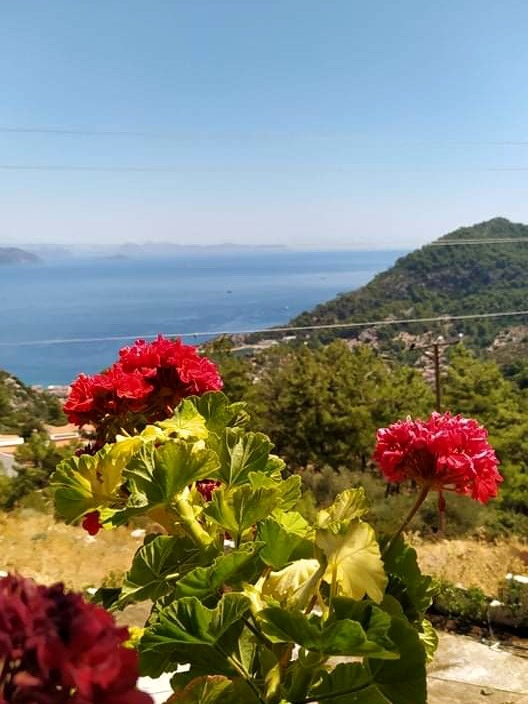 Фото из личного архива автора.