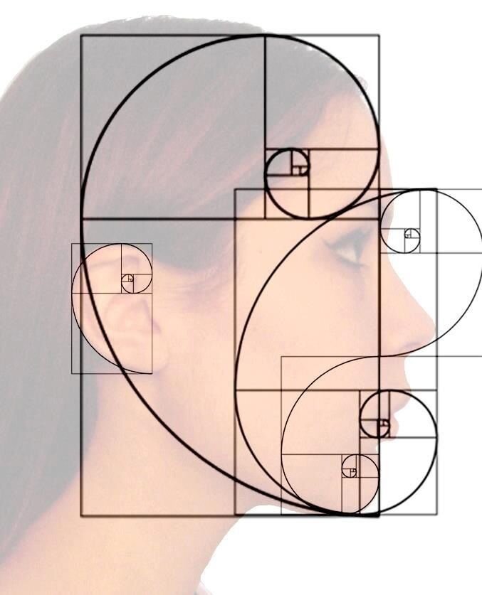 Золотое сечение как определить на картине