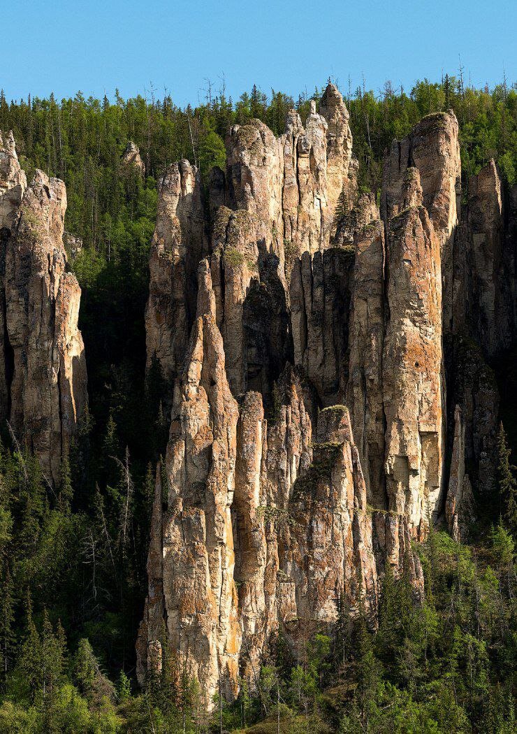 Высота ленских столбов в якутии. Ленские столбы в Якутии. Национальный парк “Ленские столбы”, Якутия. Ленские столбы каменный лес Якутии. Река Лена Ленские столбы.