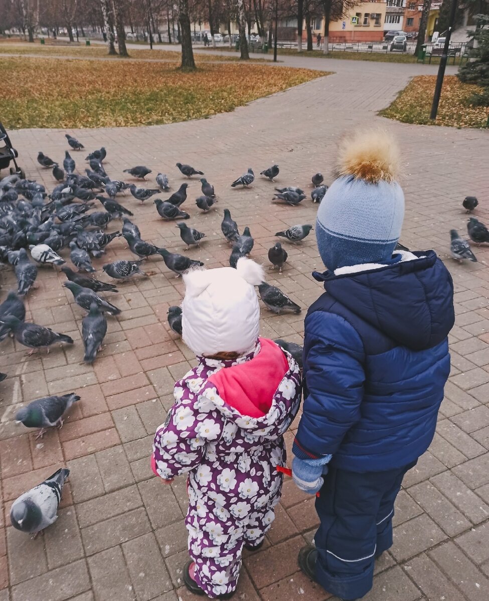 В нашем городе есть место на бульваре, где хозяйничают голуби. Семьи с детьми приходят сюда кормить птичек. Фото автора.