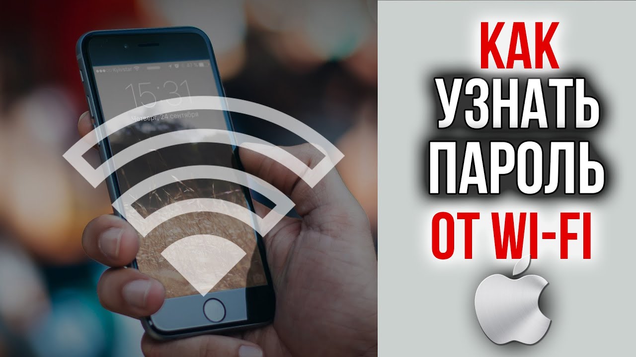 Как узнать пароль от WI-FI на Айфоне, как посмотреть пароль от своего Вайфая