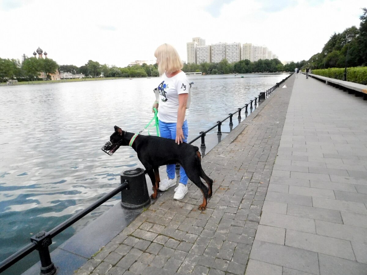 Пруд возле Останкино