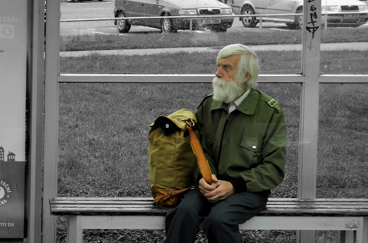 Старик на остановке pxhere.com
