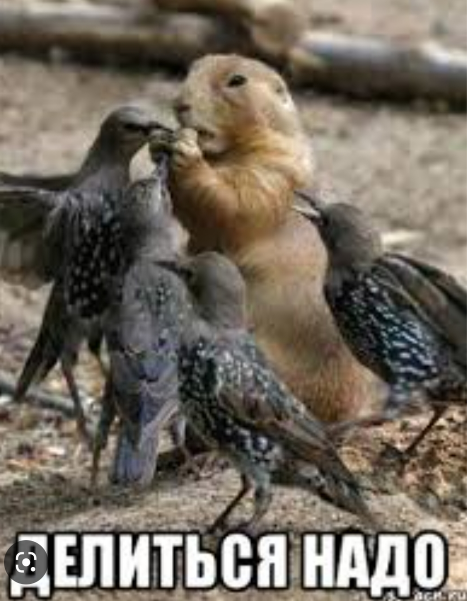 Из интернета 