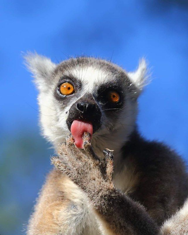 ����� ������� � ��������� ������ �������.