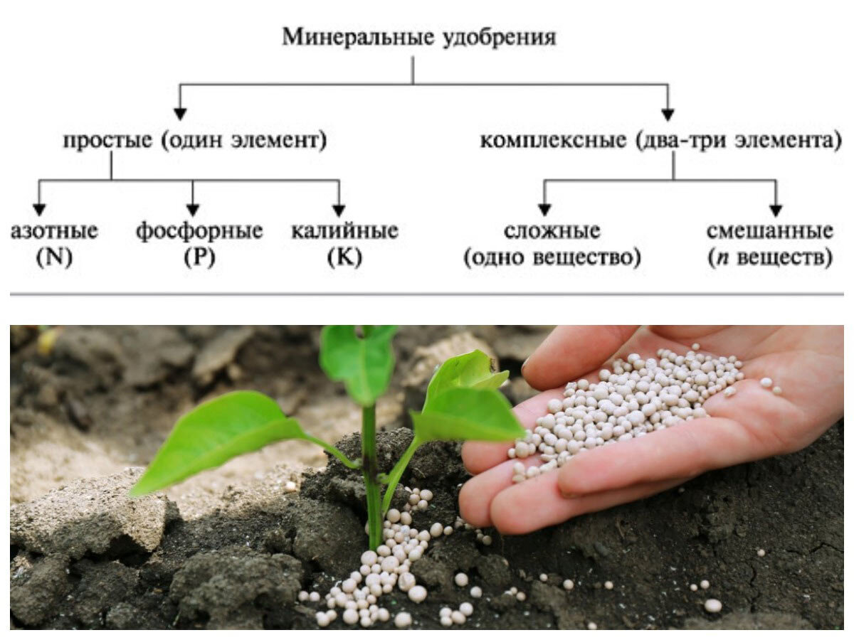 картинки сложных и простых веществ