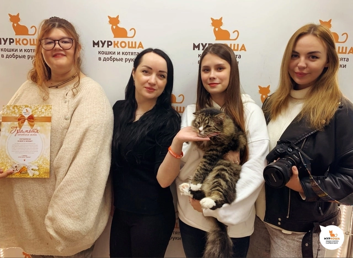 Октябрь 2022 года был богат на гостей))У нас в гостях побывали студенты 2-го курса института кино и телевидения ГИТР им. М. Литовчина 🎥 Девушки снимали сюжет, который затрагивает тему бездомных животных и ответственности людей перед пушистиками. Ждём выхода ролика и всегда рады новым гостям 💪🏻 На фото - самый талантливый из актеров - просто Курт! 🚹 8 лет. Этот обаятельный и харизматичный толстячок ждет своих любящих котородитнлей! 🤗
