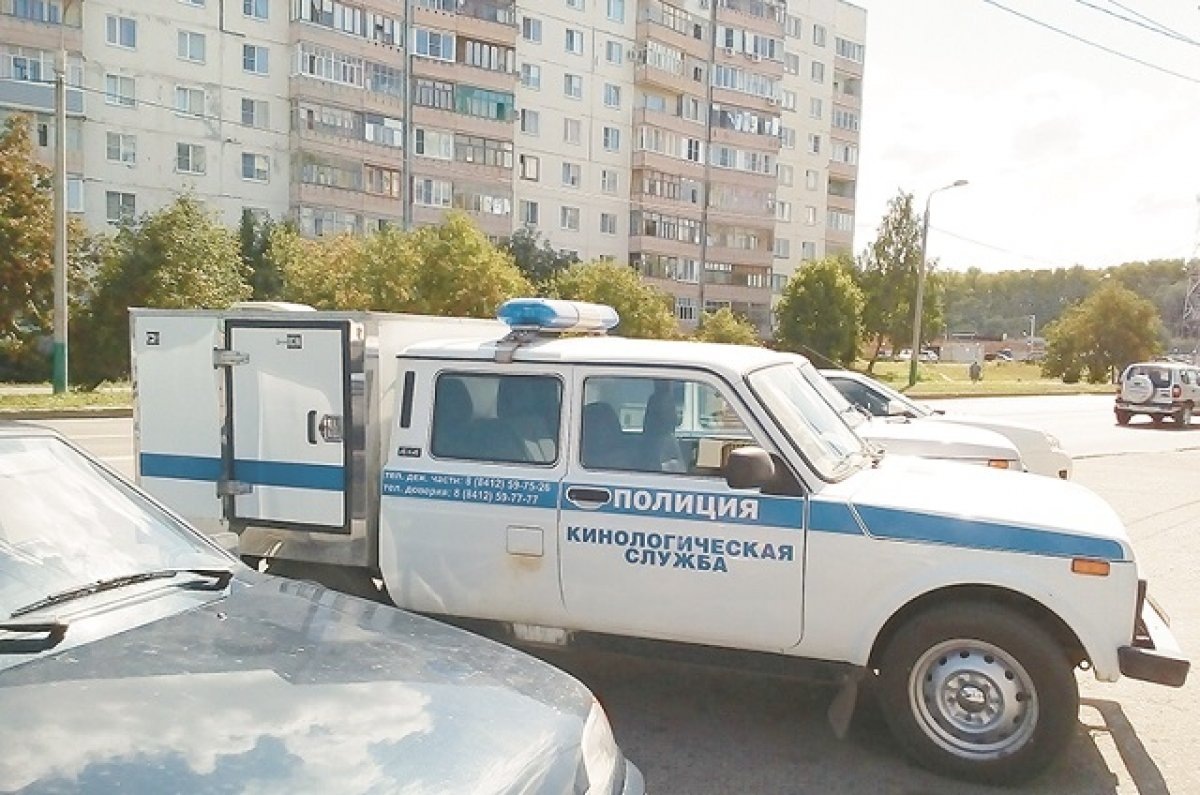    Кинологическая служба полиции участвует в осмотре зданий судов.