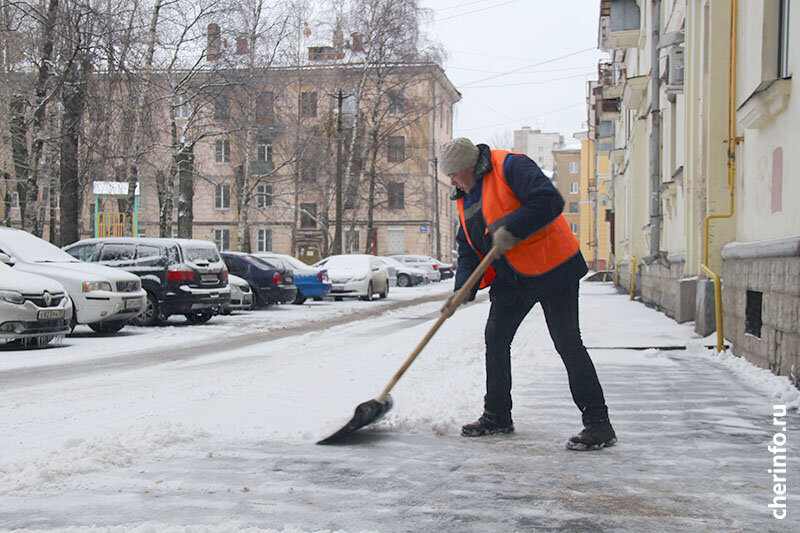    Голосование продлится до 26 декабря. Анкету можно заполнить на портале "Мой Череповец" или в своей управе