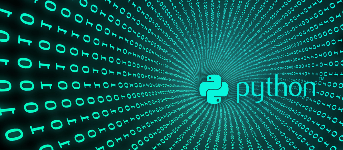 Dims python. Python. Информатика Python. Питон фон программистов. Фон для презентации Python.