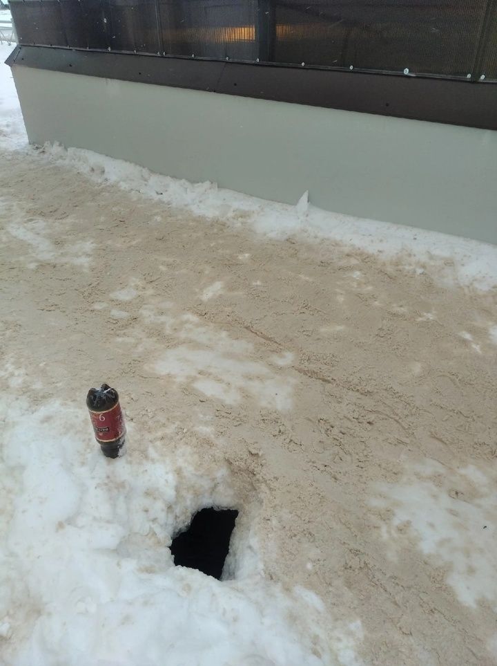     Фото: Татьяна Тихомирова