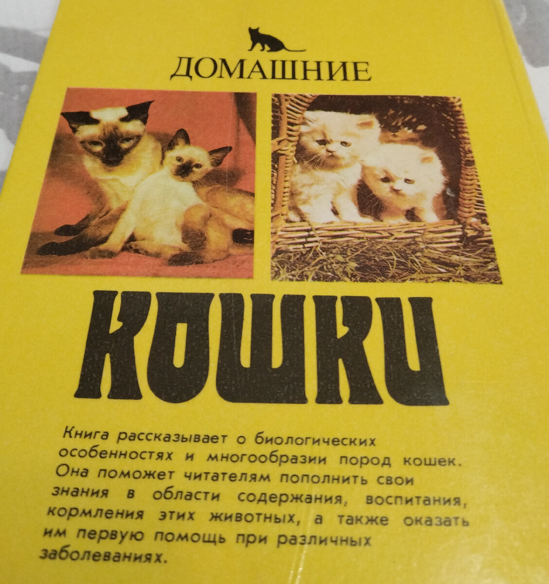 Это интересная книга