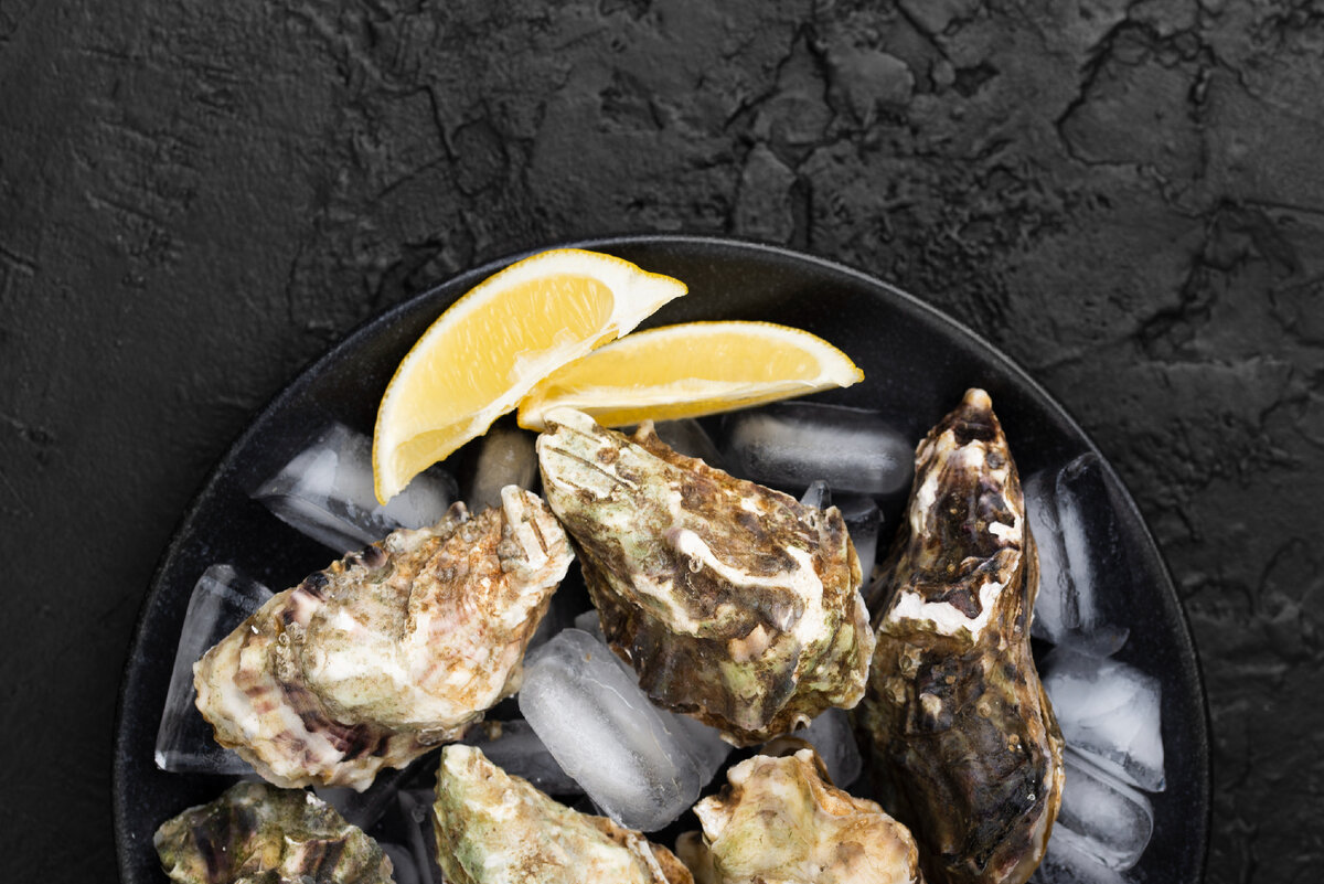 Устрицы калорийность. Фото устриц на тарелке фото. Oysters Sea Urchins in a Plate. Тарелки для устриц купить.