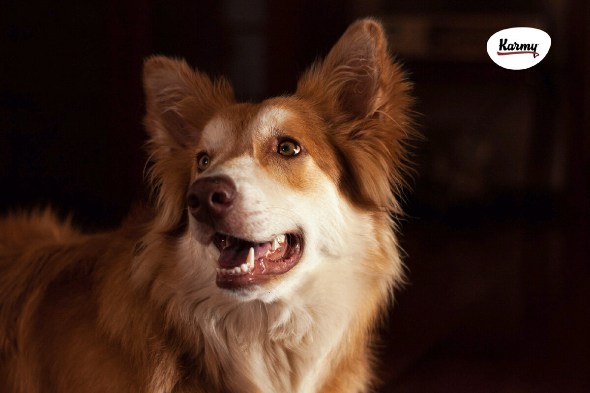 Авторское изображение с использованием картинки с фотостока "Unsplash"