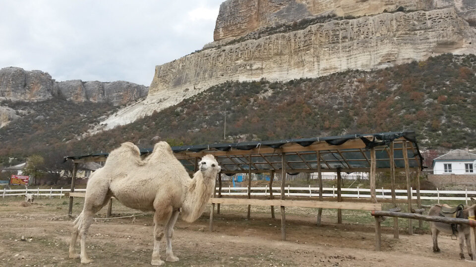 Фото: Варлаам Сидоров