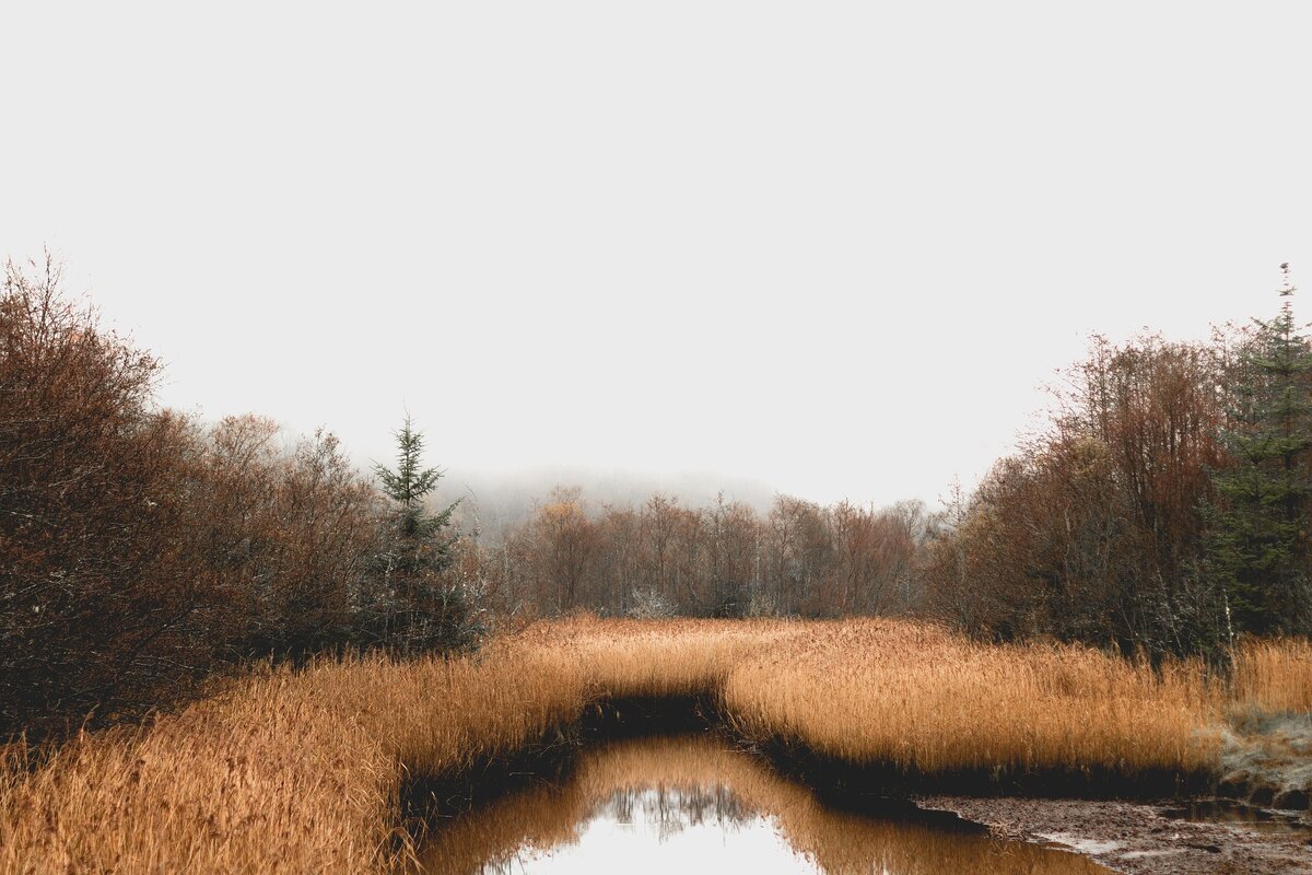 взято с pixabay.com