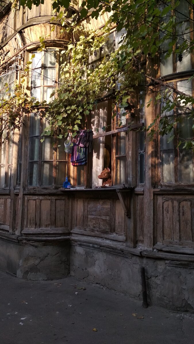 такой забавный пёсель благословил наше путешествие )