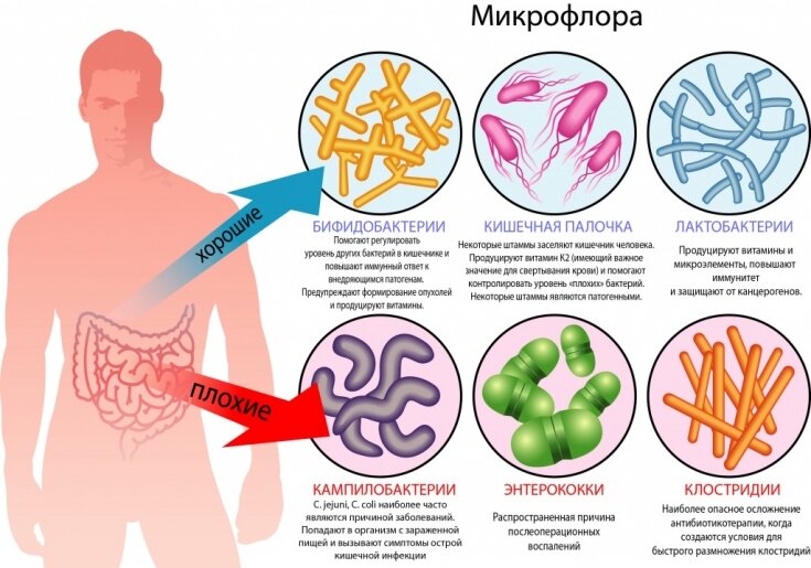 Гастрит: народные методы лечения