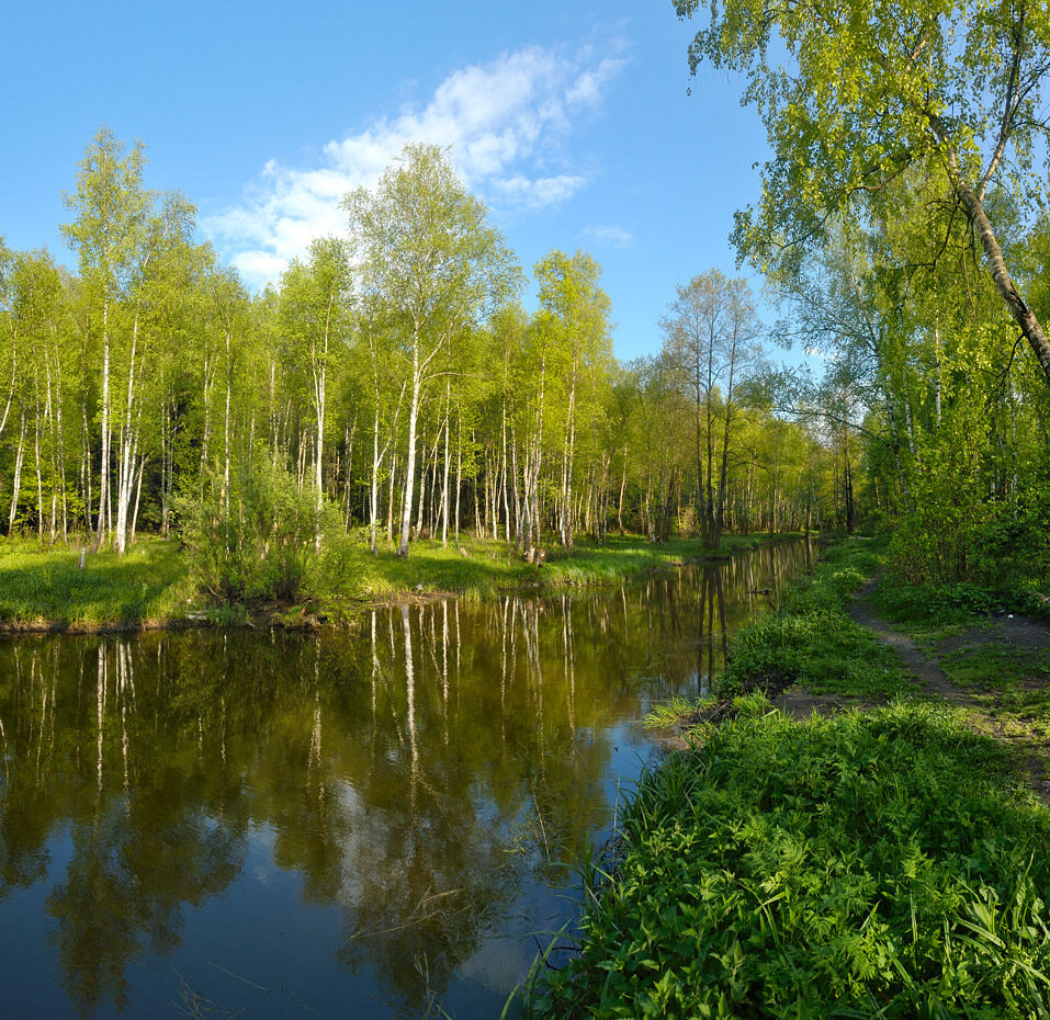 Река Яуза в Лосином острове. Река лосиха Алтайский край. Река Лось в Москве.