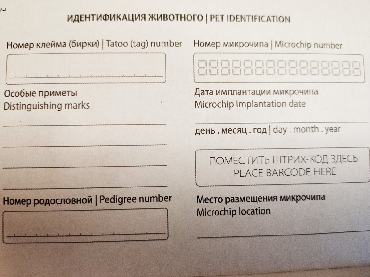 Фото из личных источников. Первая страница ветпаспорта