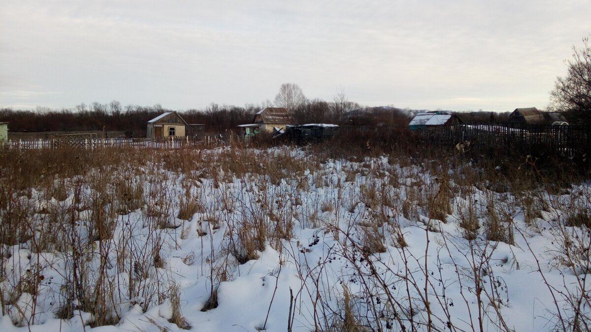 вот так выглядит