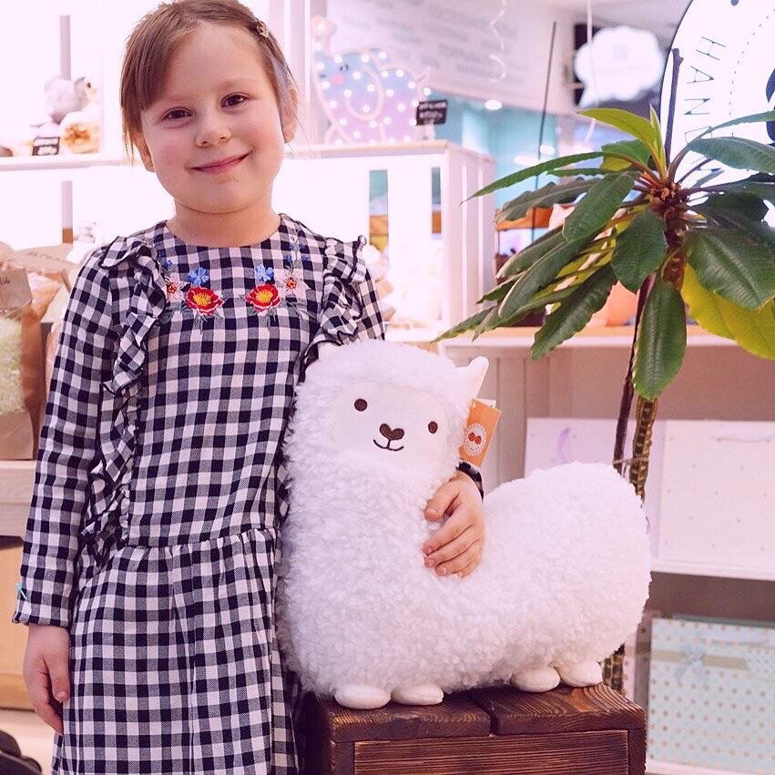 А вы знали, что до 2001 года альпаку 🦙 ошибочно относили к роду лам? Но последние исследования показали, что предками альпака были викуньи. Кстати говоря 🧐 ламы и альпака при скрещивании дают потомство под названием уарисо, а викуньи и альпака под названием пако-викунья.