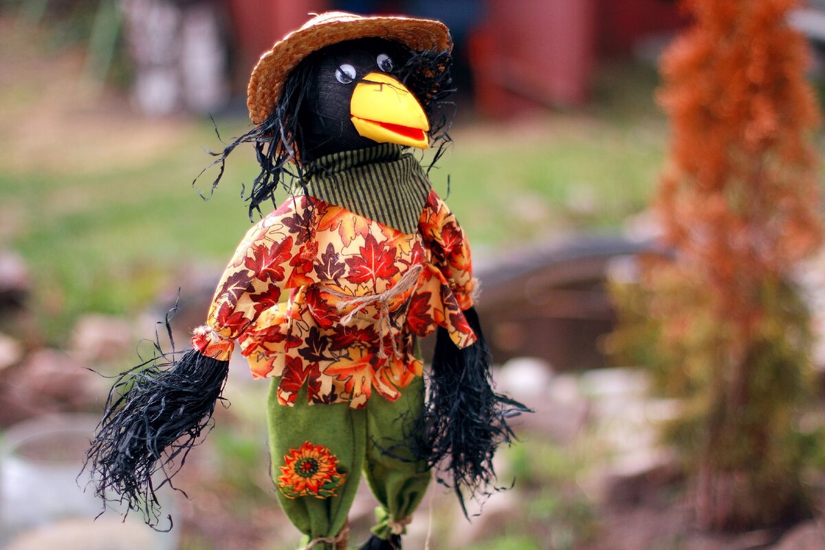 Дачная композиция