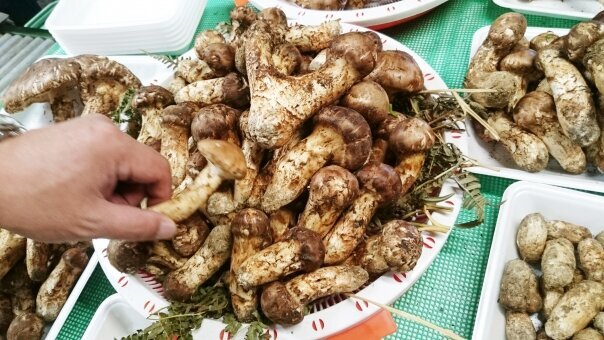 Такой наборчик стоит дорого