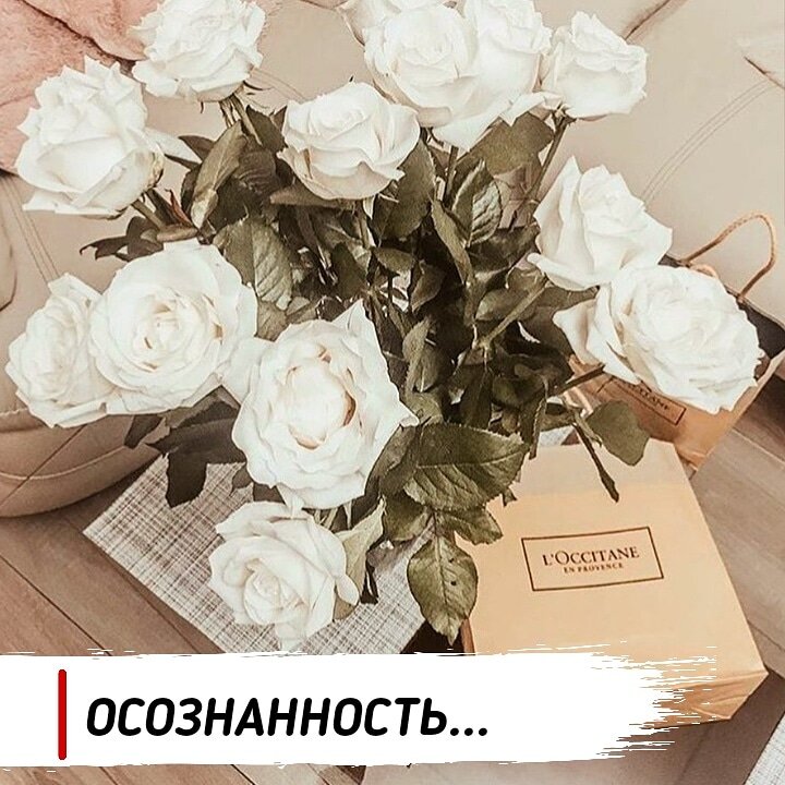 @cherepkovanna