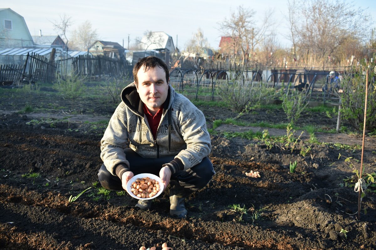 Посадка - дело ответственное! Фото автора