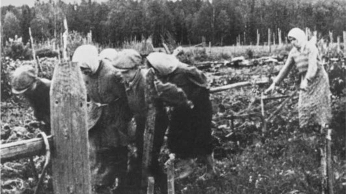 Хлеб фронту! О работе аграрной отрасли народного хозяйства СССР в годы ...