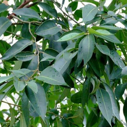 фото с интернета