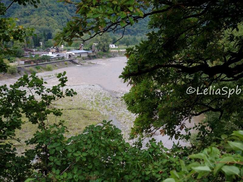 Фото из личного архива.Подглядываем из-за деревьев.