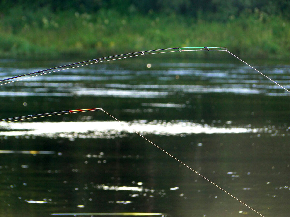 В ожидании...