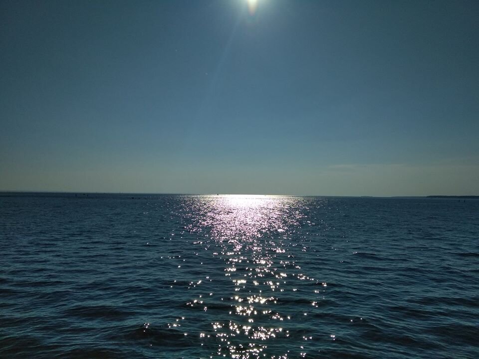 Фото Жанна Швыдкая