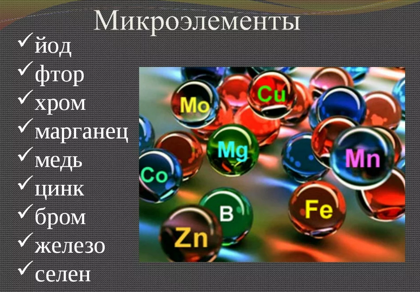 Фото Яндекс Картинки