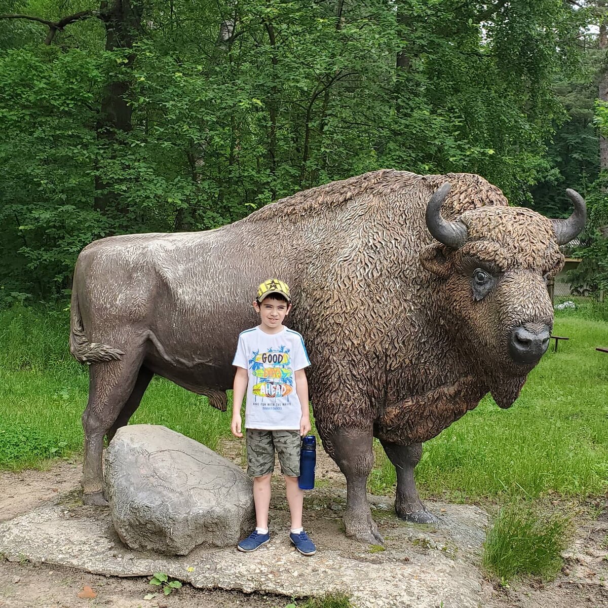 Экскурсия начинается около этого зубра