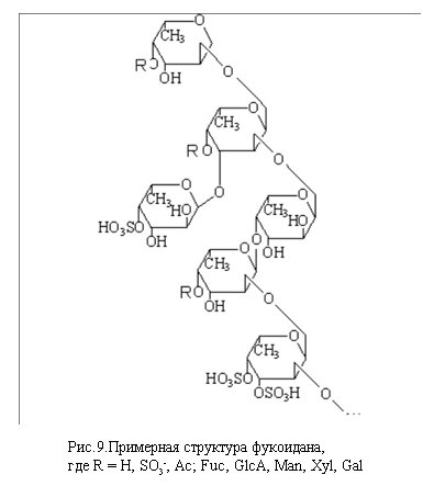 Примерная формула Фукоидана.