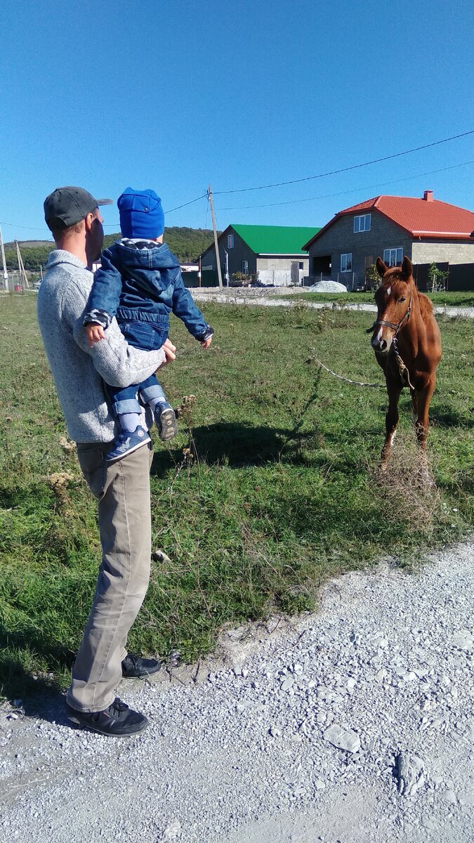 Общаемся с новым соседом) Бураном, ласково Бурашей)