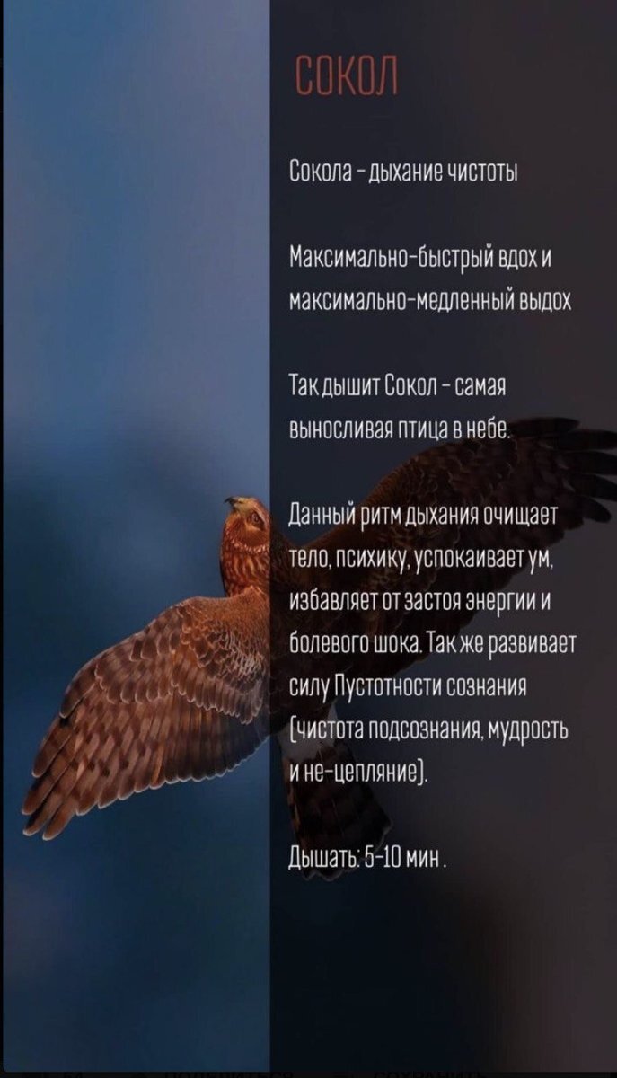 -2-2